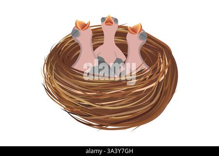 Three baby birds waiting for food in the nest Stock Vector
