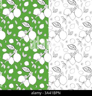 Citric lemon branches with leaves and white flowers seamless pattern. Vector graphic line ink black and white illustration on transparent background. Stock Vector