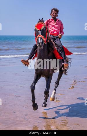 Man riding horse on Mandvi beach, Gujarat, India Stock Photo - Alamy