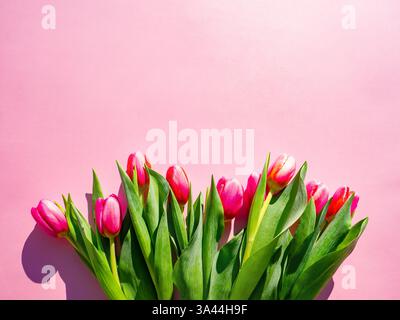 beautiful spring background with red tulips on pink Stock Photo