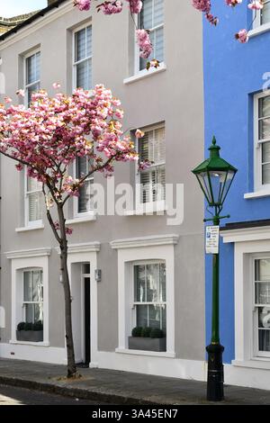 Grey terraced house with cherry blossom tree and lamppost outside Stock Photo