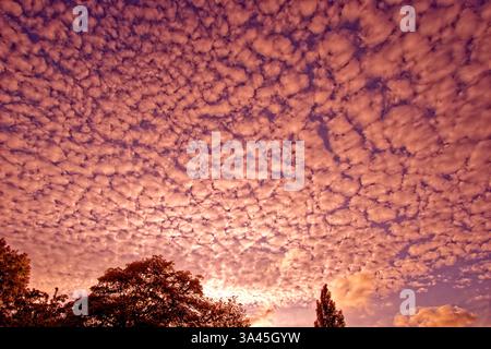 Evening Red sky. Stock Photo