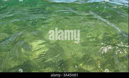 Close-up of transparent natural background of green clean sea water Stock Photo