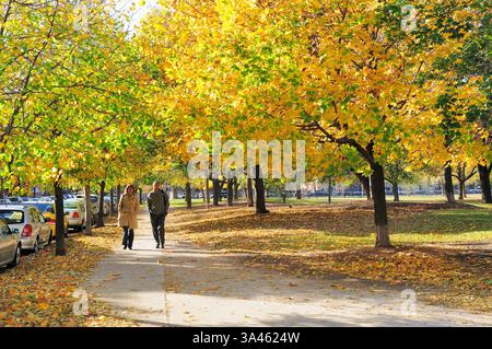 A couple takes an autumn walk in Oz Park. The park was named in honor of former Chicago resident Lyman Frank Baum (1856-1919), the author of The Wonde Stock Photo