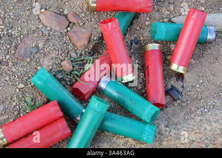 Red and green expended 12 gauge shotgun shells on the ground. Stock Photo