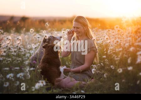 young woman with 2 Miniature Australian Shepherds Stock Photo