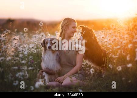 young woman with 2 Miniature Australian Shepherds Stock Photo