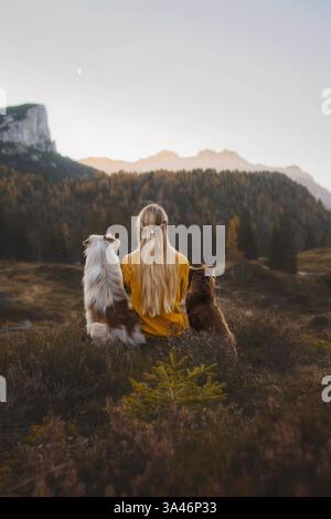 female Miniature Australian Shepherds Stock Photo - Alamy