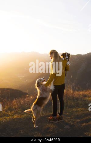 young woman with 2 Miniature Australian Shepherds Stock Photo
