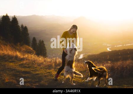 young woman with 2 Miniature Australian Shepherds Stock Photo