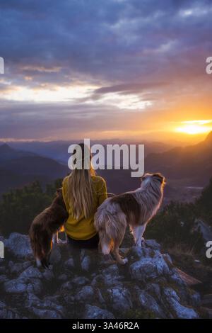 young woman with 2 Miniature Australian Shepherds Stock Photo