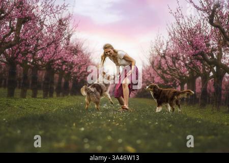 young woman with 2 Miniature Australian Shepherds Stock Photo