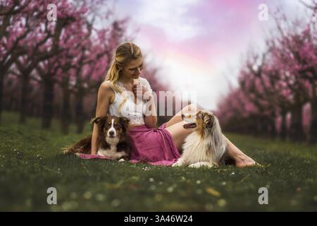 young woman with 2 Miniature Australian Shepherds Stock Photo