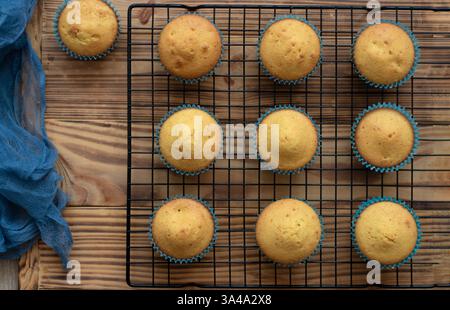 homemade Freshly baked vanilla muffins in a muffin tin just pulled out of oven Stock Photo
