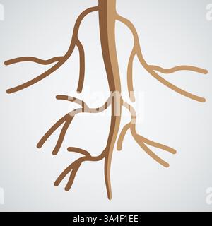 Illustration of Plant Taproot Structure Stock Vector