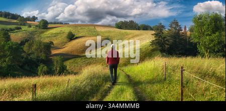 A hike in an amazing landscape with rolling hills. Hiker walking on a scenic path through beautiful meadows. Stock Photo