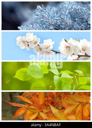 Four seasons, collage. Beautiful photos of nature during spring, summer ...