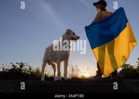 White terrier dog in focus, woman standing next to it with big Ukrainian yellow and blue flag behind her back against sunset sky. I am proud to be Ukr Stock Photo