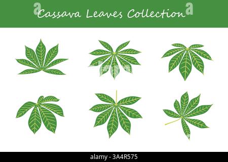 cassava leaves collection in different style. Vector illustration. Stock Vector