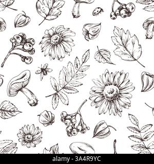 Autumn berries physalis, chokeberry, rowan leaves, maple, birch, mushrooms, rudbeckia flowers, tree branches. Graphic line art hand drawn with black Stock Vector