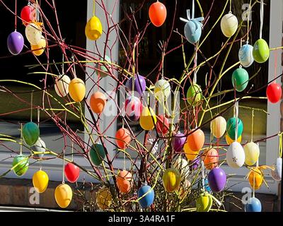 Osterstrauch mit Bunten Ostereiern steht im Garten Ostereier haengen an Zweigen in der Sonne an einem Osterstrauch - Ein Osterstrauch, geschmueckt mit bunten Eiern steht für das Wiedererwachen der Natur im Fruehling. Klassisch werden Palmkaetzchen, Birken Hasel und Kirschzweige verwendet Hamburg 19.03.2025 Hamburg Deutschland *** Easter shrub with colorful Easter eggs stands in the garden Easter eggs hanging on branches in the sun on an Easter shrub An Easter shrub decorated with colorful eggs stands for the reawakening of nature in spring Classically, palm cookies, birch hazel and cherry bran Stock Photo
