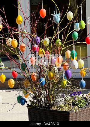 Osterstrauch mit Bunten Ostereiern steht im Garten Ostereier haengen an Zweigen in der Sonne an einem Osterstrauch - Ein Osterstrauch, geschmueckt mit bunten Eiern steht für das Wiedererwachen der Natur im Fruehling. Klassisch werden Palmkaetzchen, Birken Hasel und Kirschzweige verwendet Hamburg 19.03.2025 Hamburg Deutschland *** Easter shrub with colorful Easter eggs stands in the garden Easter eggs hanging on branches in the sun on an Easter shrub An Easter shrub decorated with colorful eggs stands for the reawakening of nature in spring Classically, palm cookies, birch hazel and cherry bran Stock Photo