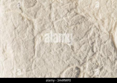 handmade white decorative paper with visible fibers Stock Photo