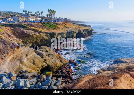 Vivid landscape of a San Diego coastal cliff featuring rugged rocks, green vegetation, and palm trees under bright sunlight, showcasing the Pacific Oc Stock Photo