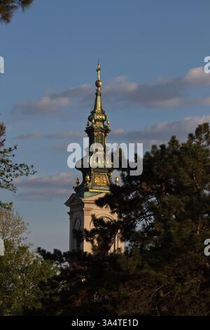 A beautifully designed clock tower emerges from the surrounding trees, illuminated by the soft light of late afternoon. This tranquil urban park scene Stock Photo