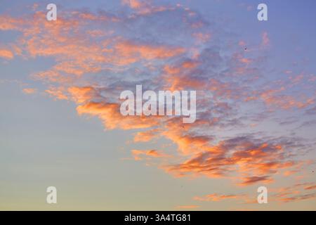 Soft pastel colors paint the sky at sunset, creating a beautiful and serene backdrop. Stock Photo