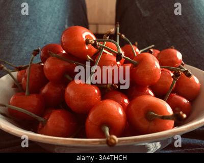 Close-up of a bowl of ripe red cherries freshly harvested in summer — farm to table, seasonal fruit, food photography, homegrown abundance Stock Photo