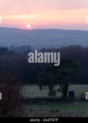 Distinctive tree beside horse box in a field as the sun sets over the hills behind in Biddulph, Staffordshire, Mar 25 Stock Photo