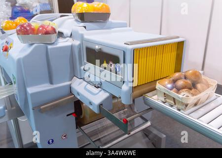 Automatic package of vegetable and fruit flow pillow packing machine. Food industry Stock Photo