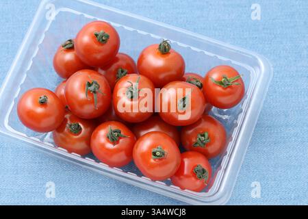 cherry tomatoes in a clear plastic container on table Stock Photo