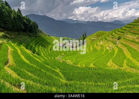 Yao Village Dazhai, Longsheng, near town of Guilin, Guangxi, China. Farmhouses in highlands of China, farm land, rice terraces. Stock Photo