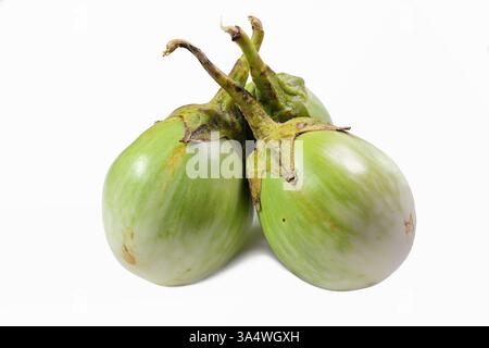 Close-up of three golf ball-sized Thai eggplants (Solanum melongena), isolated on white background, clipping path Stock Photo