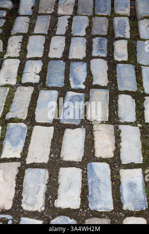 High angle view of footpath made of paving stones in garden in summer. Stock Photo