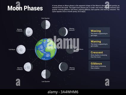 Moon phases chart clipart. Lunar cycle movement in different phases like crescent, full moon, new moon, waxing crescent and last quarter diagram Stock Vector