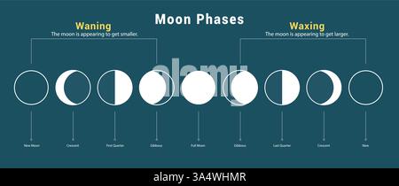 Moon phases drawing chart clipart set. Moon waning and waxing phases chart in lunar outline hand drawn clip art for elementary science education Stock Vector