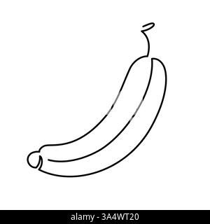 Banana fruit illustration. Single line icon. Line art Banana. One line Banana illustration. Vector Outline fruit isolated on white background Stock Vector
