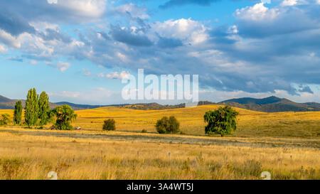 Picturesque rural landscape bathed in the late afternoon light on a summer's day in the Monaro Region, NSW, Australia Stock Photo