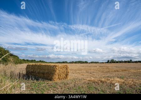 A bale of straw in a field in West Sussex with a dramatic blue sky Stock Photo