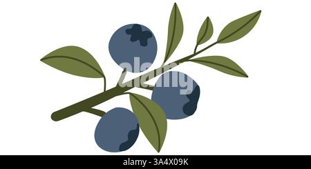 Illustration of a Blueberry Branch with Leaves in a Minimalist Style Stock Vector