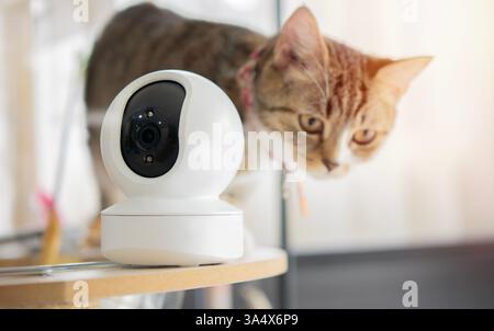 CCTV security spy gadgets and camera monitoring concept. Close-up view of CCTV camera setting on the cat tower at home. Stock Photo