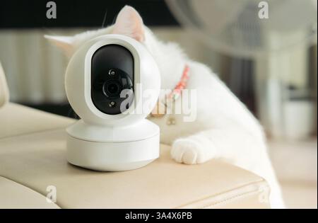 Smart House CCTV Security Camera Concept. Cropped shot of white cat standing behind the smart house CCTV in the living room. Stock Photo
