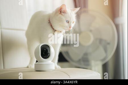 CCTV Security Camera with home security system concept. Mini white CCTV camera setting in the livingroom with white cat. Selective focus. Stock Photo
