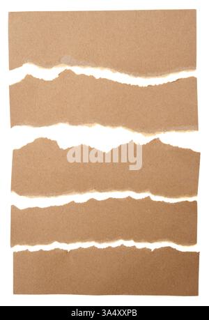 Torn pieces of paper on white background Stock Photo