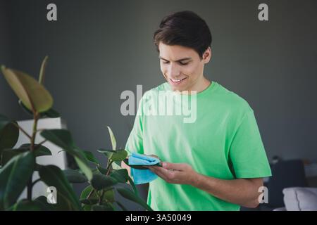 Young man cleaning a plant leaf indoors wearing a green t-shirt, enjoying leisure time at home with a smile in a cozy and modern apartment Stock Photo