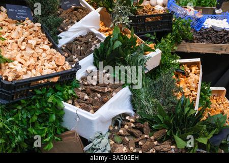 Display of dried mushrooms at Borough Market, London, UK Stock Photo
