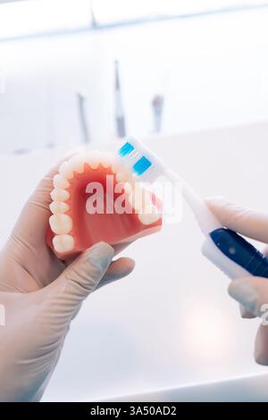 Hispanic female dentist in sterile gloves brushing denture with toothbrush during work in orthodontic clinic Stock Photo